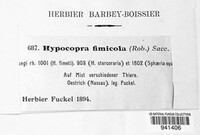 Sordaria fimicola image